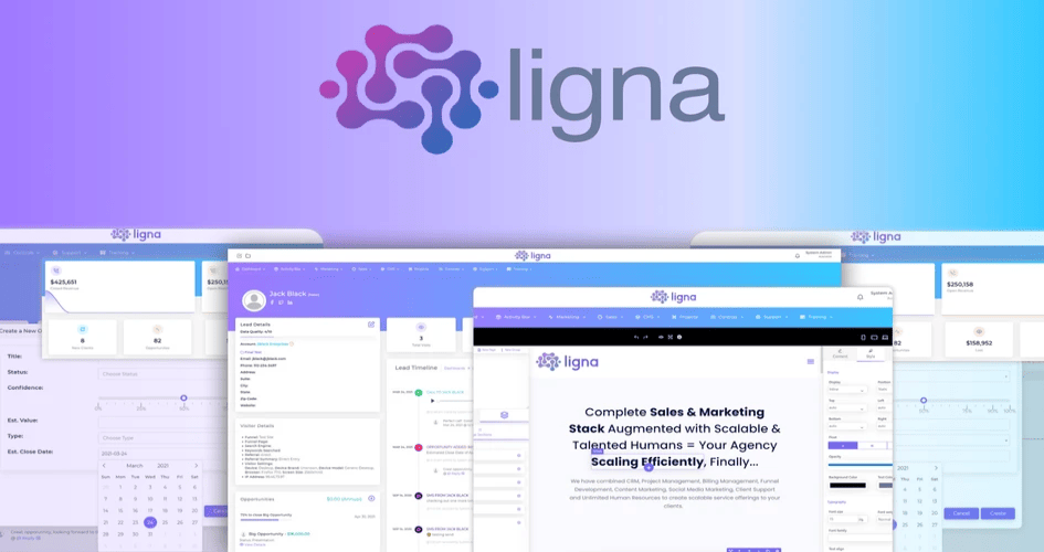 ligna review