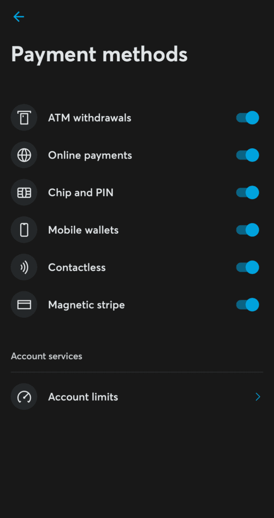 wise payment methods